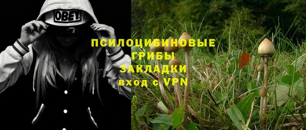 2c-b Богородицк
