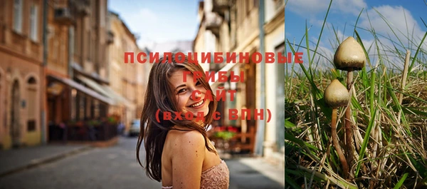 2c-b Богородицк